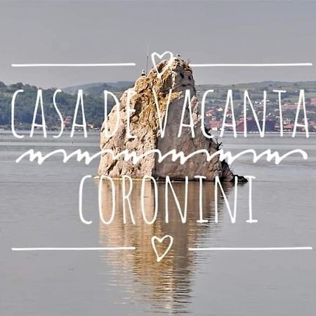 Casa De Vacanta Danube Moldova Noua Dış mekan fotoğraf
